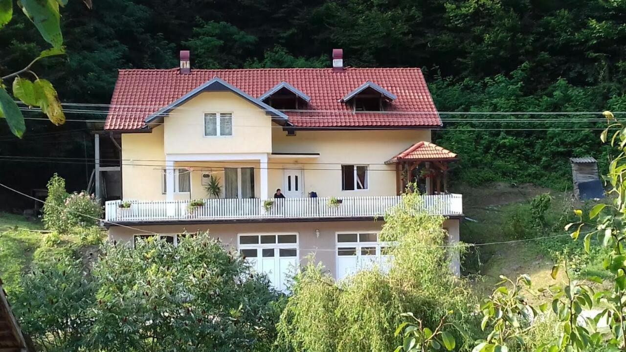 Guesthouse Stanojevic Guca Exterior photo